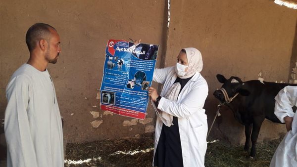 غدا.. انطلاق الحملة القومية الثانية للتحصين ضد الحمى القلاعية والوادى المتصدع بالأقصر 1 4911720780864