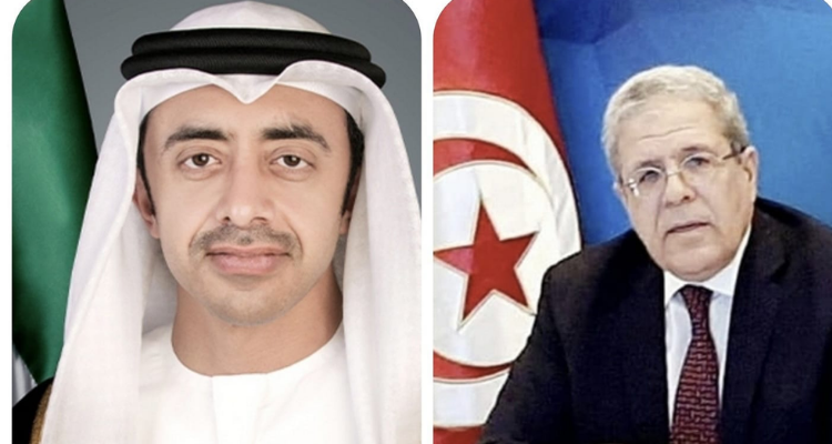 وزير الخارجية الإماراتي يبحث مع نظيره الجيبوتي التعاون الثنائي والقضايا ذات الاهتمام المشترك 1 80bd7274a6d398b4ab91a1072d2c4caf1722284043