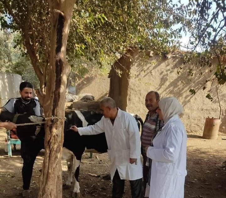 تحصين 16848رأس ماشية ضمن الحملة القومية الثانية لمقاومة الحمى القلاعية والوادي المتصدع بالدقهلية 1 FB IMG 16717974209921721048823