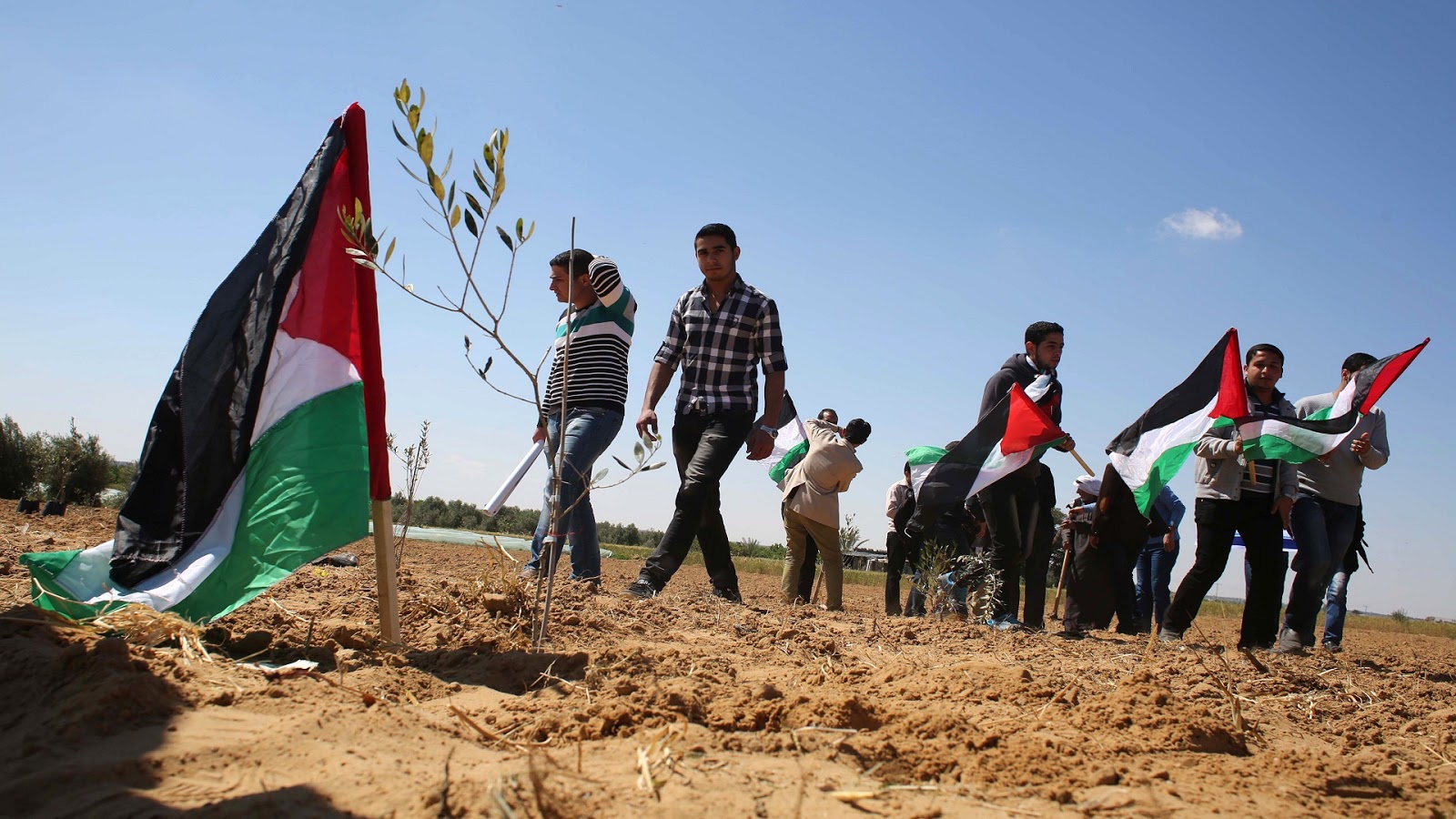 عضو العمل الوطني الفلسطيني: الاحتلال الإسرائيلي يمارس سياسة ممنهجة للتطهير العرقي ضد الفلسطنيين 1 fd02c8d1e6cba1720334045