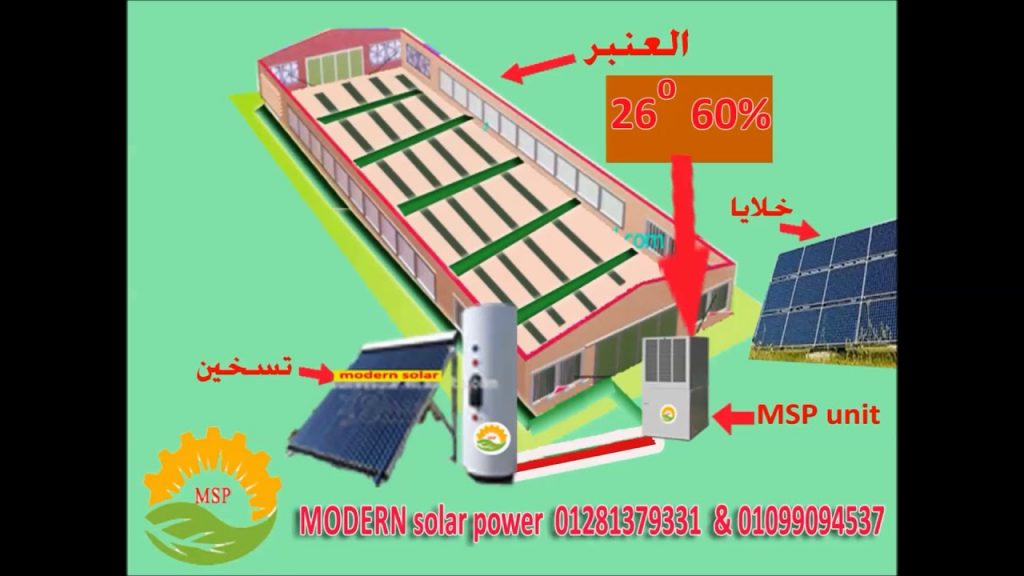 الكهرباء: مبادرة جديدة لتشغيل مزارع الدواجن بالطاقة الشمسية بتمويل ميسر 1 maxresdefault1722410043