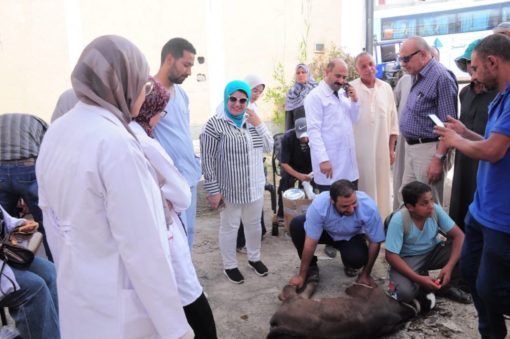 جامعة كفر الشيخ تطلق قافلة بيطرية لقرية "قراجة" ضمن المبادرة الرئاسية "حياة كريمة" 1 جامعة كفر الشيخ تطلق قافلة طبية وبيطري 1072x7121723048744