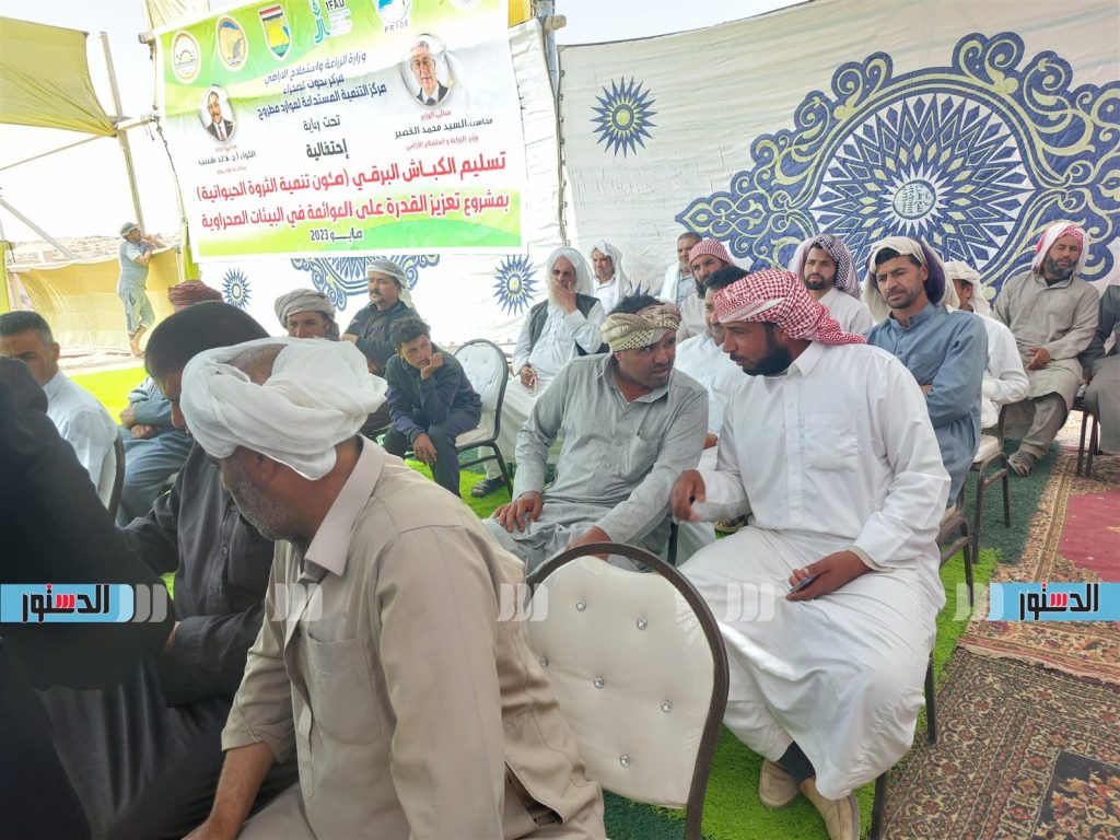 وزير الزراعة ومحافظ مطروح يوزعان 50 ألف شتلة زيتون و120 كبشا من الأغنام البرقي على المربين مجانا 1 1531722513183