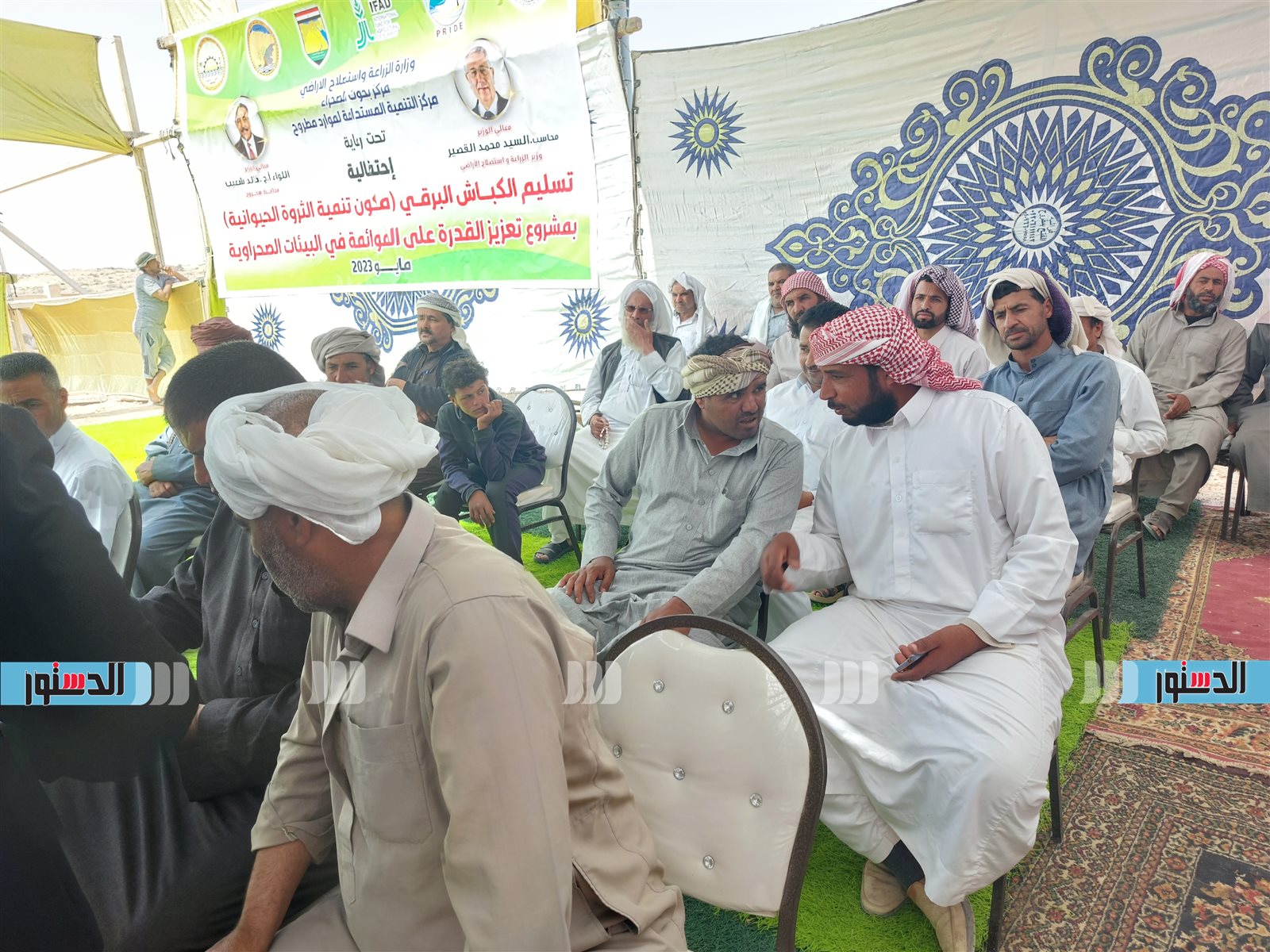 وزير الزراعة ومحافظ مطروح يوزعان 50 ألف شتلة زيتون و120 كبشا من الأغنام البرقي على المربين مجانا 1 1531722513183