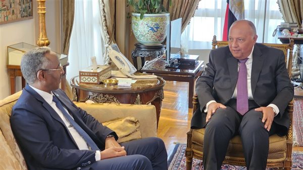 وزير الخارجية يلتقي رئيس الصومال ويعرب عن تطلع مصر للاستمرار في تعزيز العلاقات الثنائية 1 2121723417984