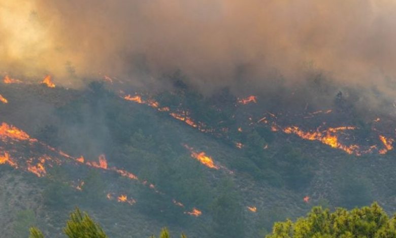 مصرع وإصابة 19 شخصا جراء حرائق اليونان .. والبوسنة وألبانيا تواجهان حرائق مماثلة 1 421029 36 16926905681723537084