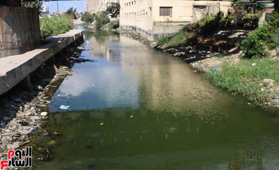 محافظة الجيزة: تطهير المجرى المائي لترعة المريوطية من البقع الزيتية.. والتحفظ على سيارة الكسح المتسببة فيها 1 52391 11723836064