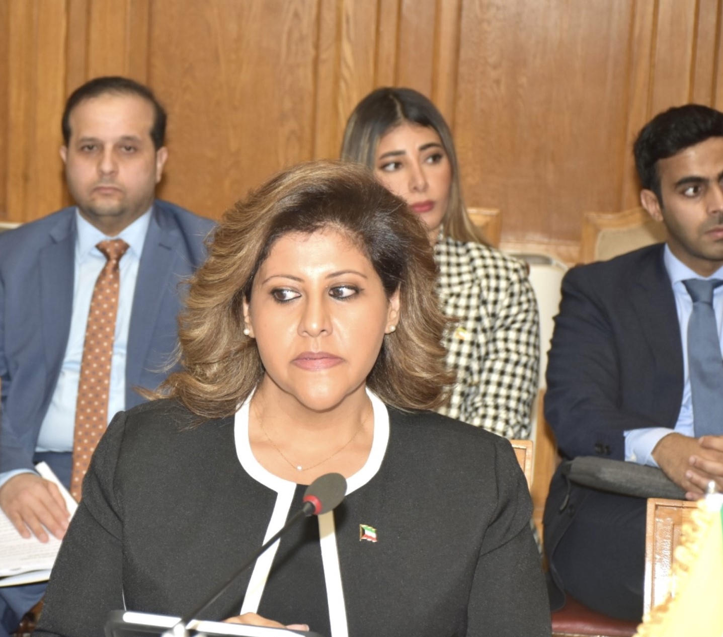 مساعد وزير الخارجية الكويتية لشئون حقوق الإنسان تشيد بدور مركز القاهرة الدولي في بناء قدرات المرأة العربية 1 55fa2014 5a73 4e36 8649 3f0765ade27f1722538204