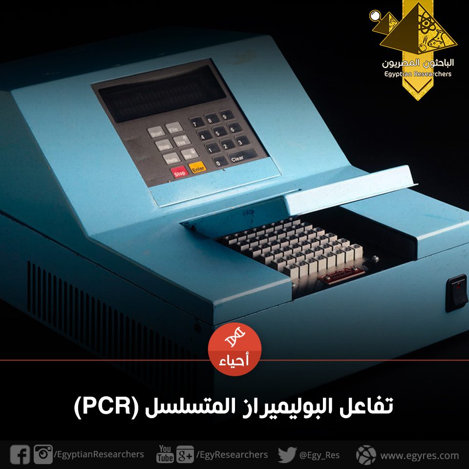 نشرة جلوبال (3): شركة Seegene تقوم بتطوير اختبارات تفاعل البوليمراز المتسلسل لفيروس جدري القرود بعد إعلان منظمة الصحة العالمية حالة الطوارئ الصحية على مستوى العالم 1 Template May 2016 81724741944