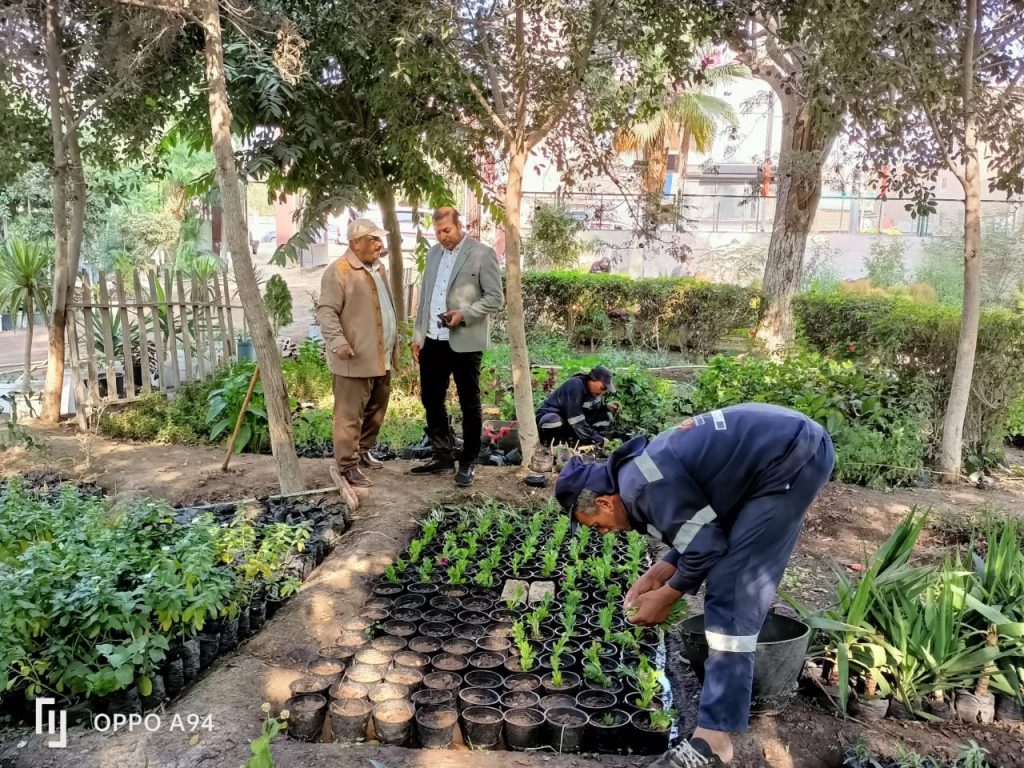 محافظ كفرالشيخ يتابع جهود زراعة الأشجار بقلين ضمن المبادرة الرئاسية "100 مليون شجرة" 1 elaosboa082591722939664