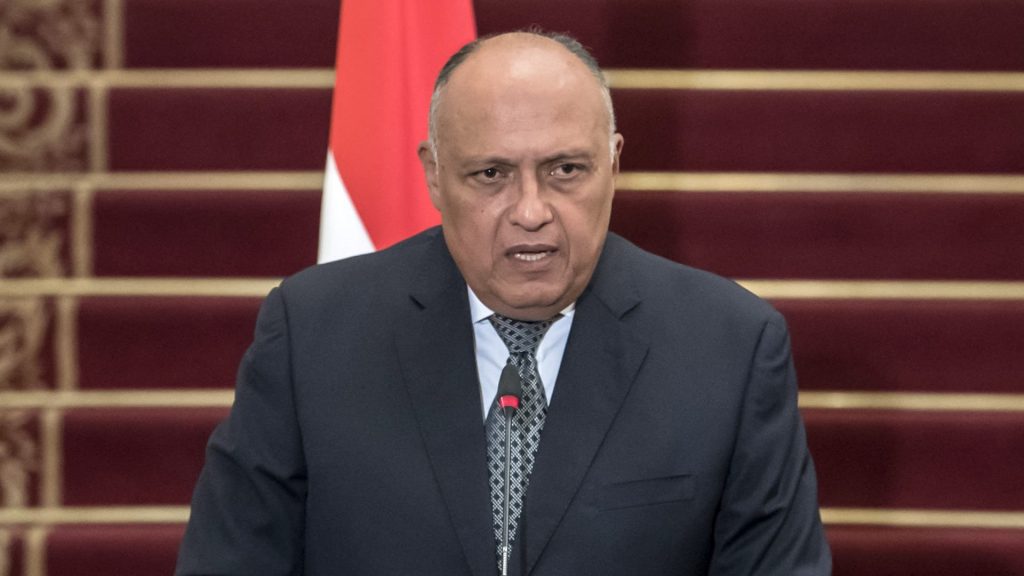 وزير الخارجية: الدولة المصرية حريصة على الاستفادة من خبرات أبنائها في دول المهجر لدعم أهدافها التنموية 1 elaosboa468591724421783