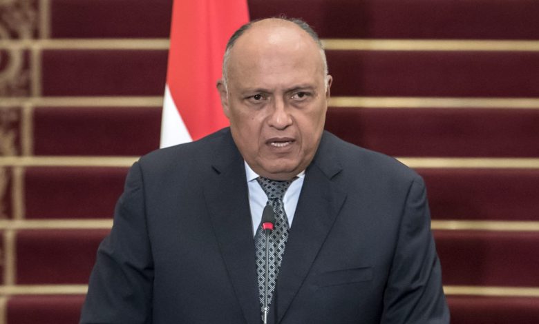 وزير الخارجية: الدولة المصرية حريصة على الاستفادة من خبرات أبنائها في دول المهجر لدعم أهدافها التنموية 1 elaosboa468591724421783