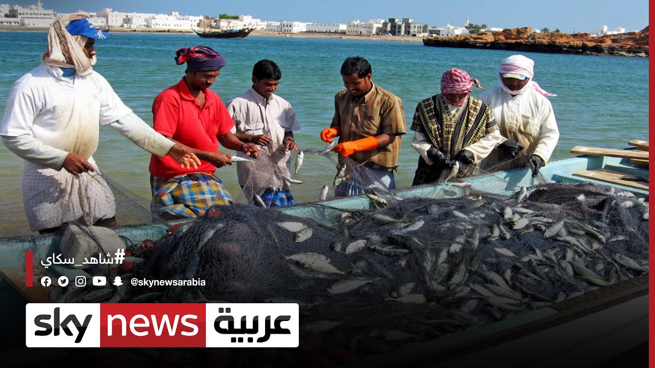 "الزراعة": انطلاق برنامج تدريبي بمجال تنمية المزارع السمكية لتحقيق الأمن الغذائي في إفريقيا 1