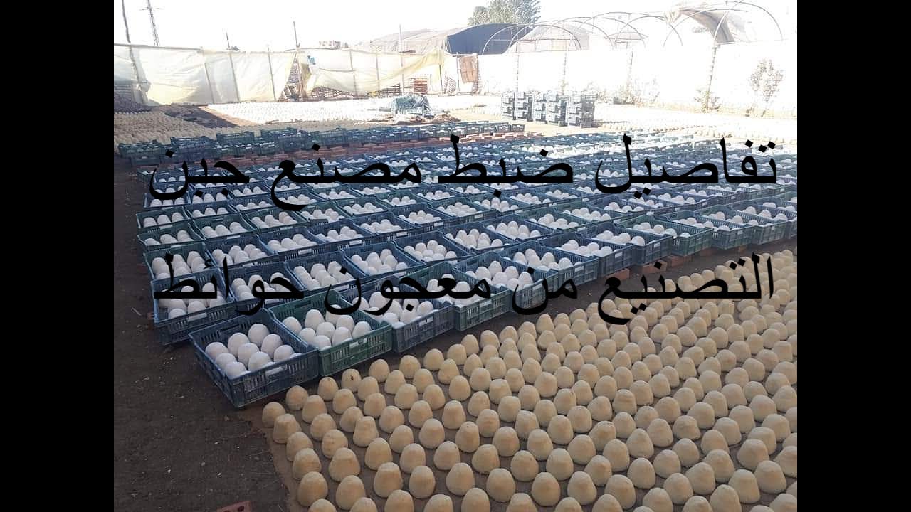 ضبط طنين من الجبن غير الصالح للاستهلاك الآدمي داخل مخزن بدار السلام قبل ترويجهم بالقاهرة 1