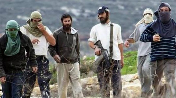 البيت الأبيض يندد بعنف المستوطنين ضد الفلسطينيين في الضفة الغربية 1 تدفيع الثمن1723787343