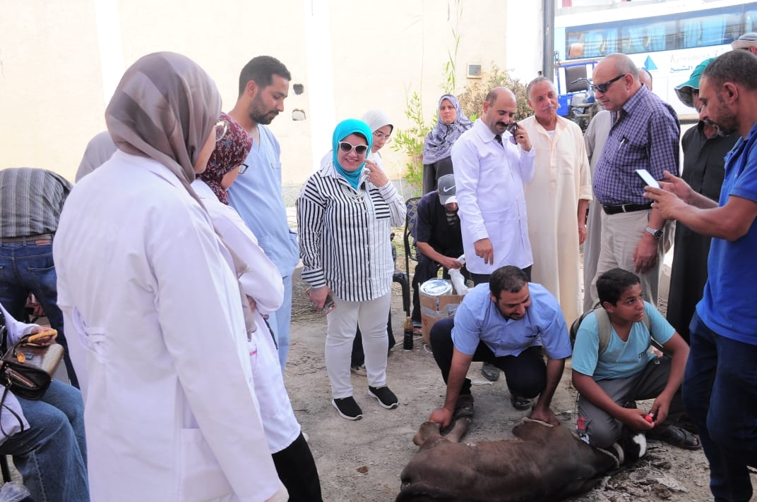 جامعة كفر الشيخ تطلق قافلة بيطرية لقرية "قراجة" ضمن المبادرة الرئاسية "حياة كريمة" 1 جامعة كفر الشيخ تطلق قافلة طبية وبيطري