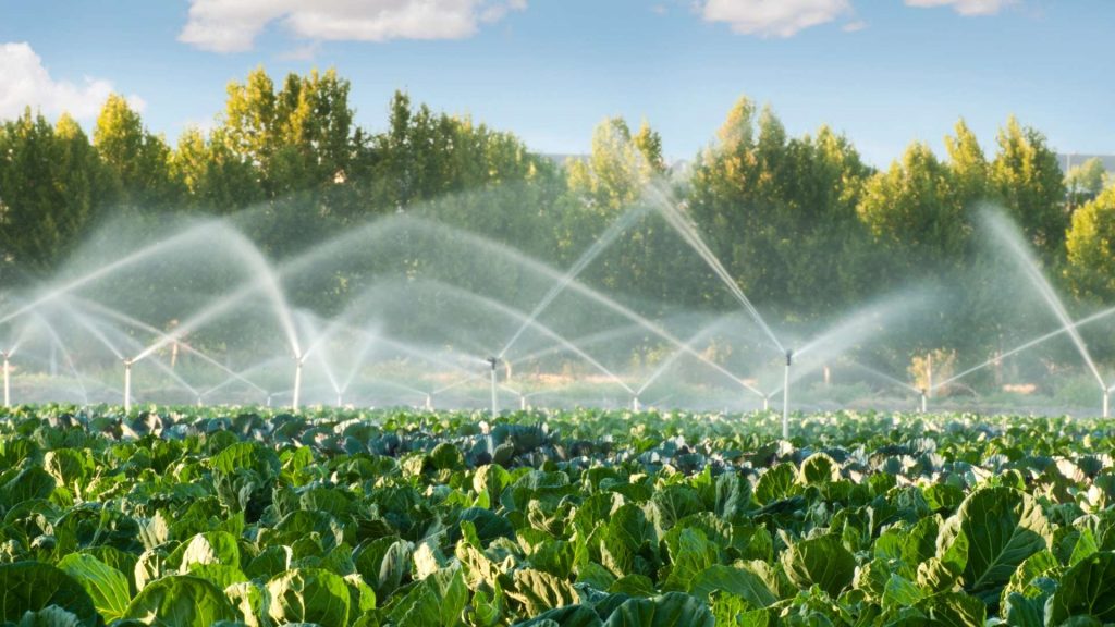 محافظ البحيرة تحث المزارعين على استخدام تقنيات وأساليب حديثة في الري 1 تقنيات الري الحديث1725190684