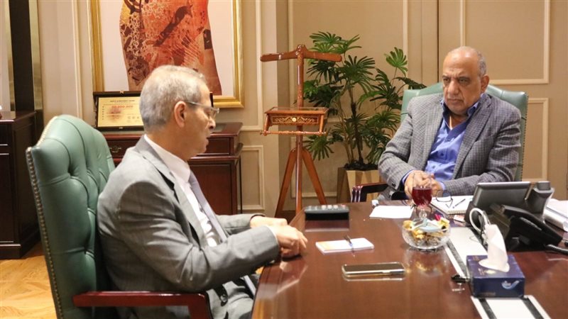 وزير الكهرباء: توجيهات رئاسية دائمة بتدعيم أواصر الشراكة بما يعود بالنفع على الدول الإفريقية 1 1021725544384