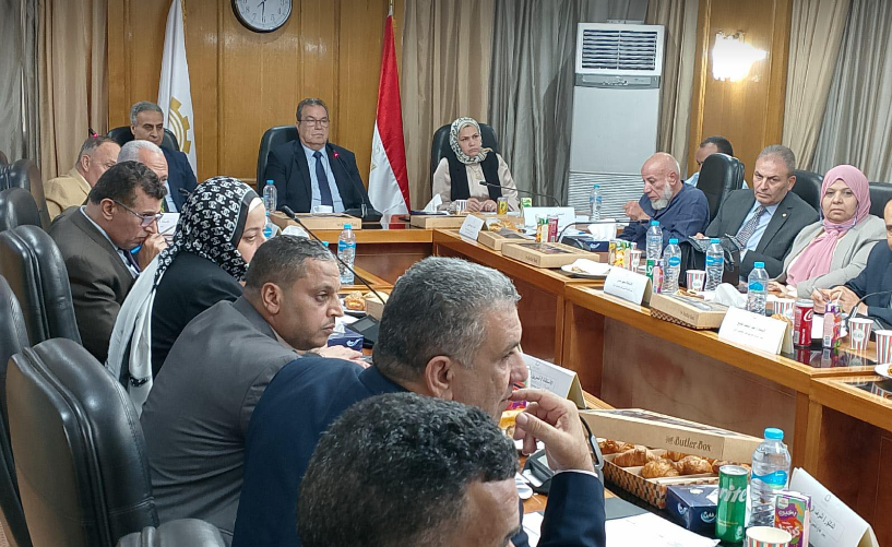 رئيس "الضرائب": حريصون على إزالة أية معوقات تواجه الشركات اليابانية المستثمرة في مصر 1 111111726816985