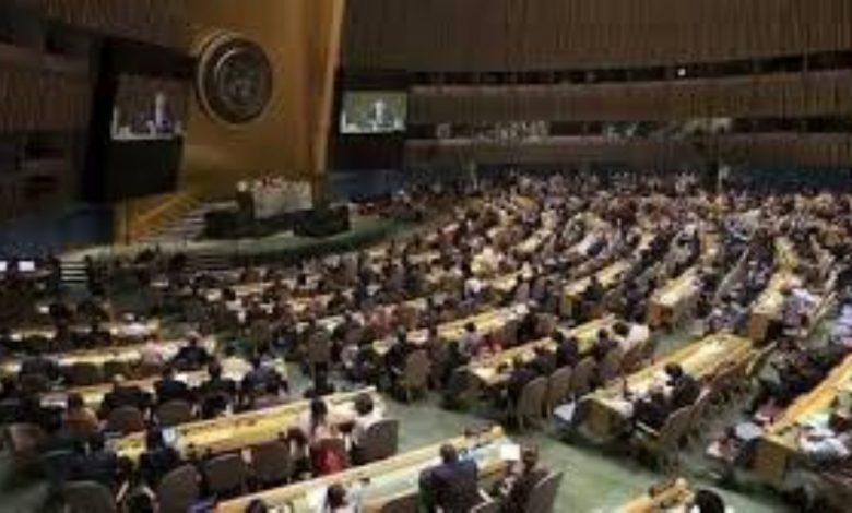فلسطين: قرار الجمعية العامة للأمم المتحدة يمثل نقطة تحول في مسار النضال من أجل الحرية والعدالة 1 11220186105311726693505