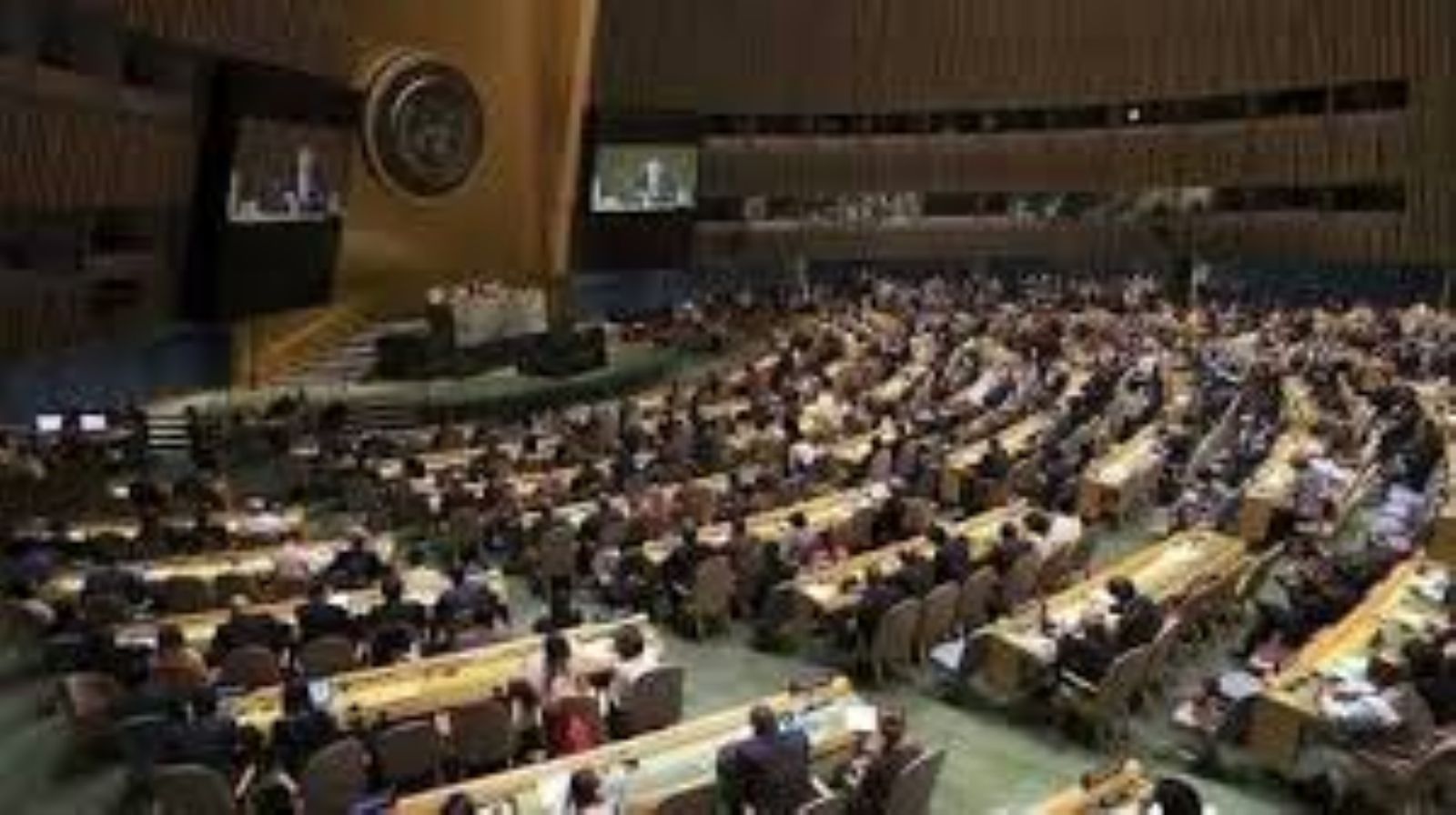 فلسطين: قرار الجمعية العامة للأمم المتحدة يمثل نقطة تحول في مسار النضال من أجل الحرية والعدالة 1 11220186105311726693505