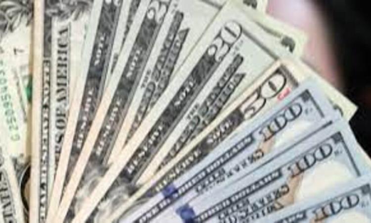 الأجهزة الأمنية تضبط عددا من قضايا الاتجار بالنقد الأجنبي بقيمة 10 ملايين جنيه خلال 24 ساعة 1 170791645301726128963
