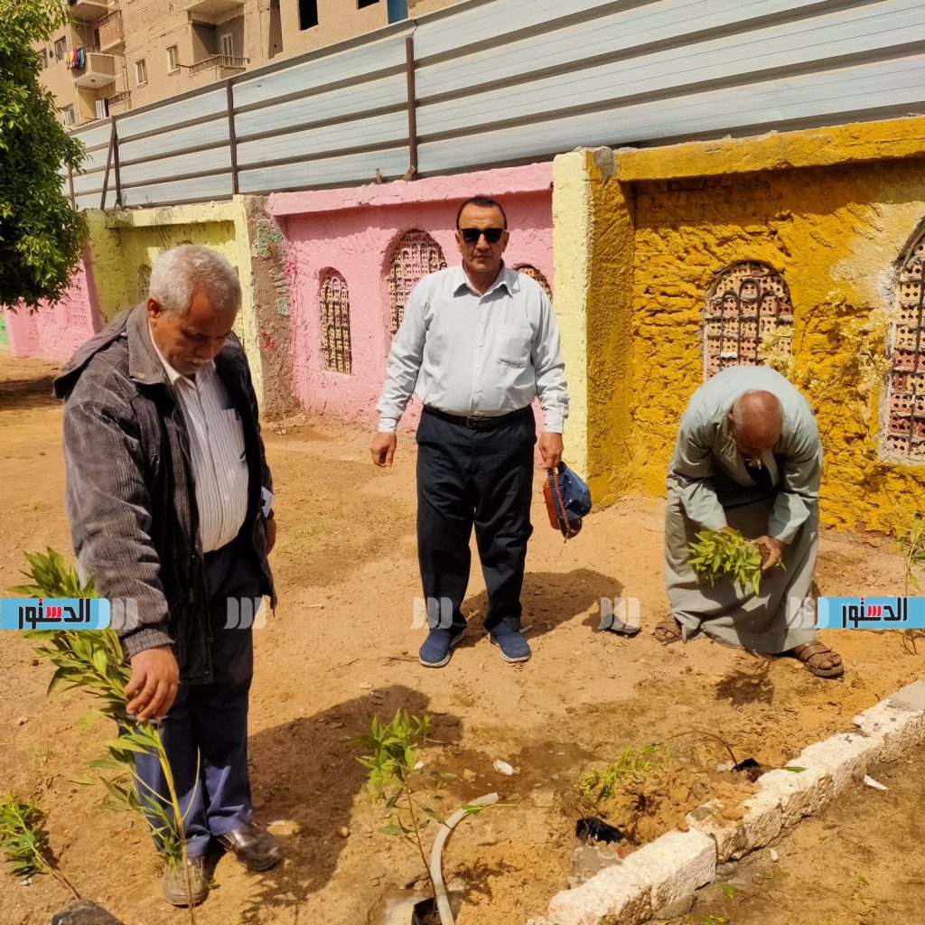 أسيوط تستكمل أعمال تشجير وزراعة الشتلات ضمن مبادرة "زراعة 100 مليون شجرة" 1 1821727693585