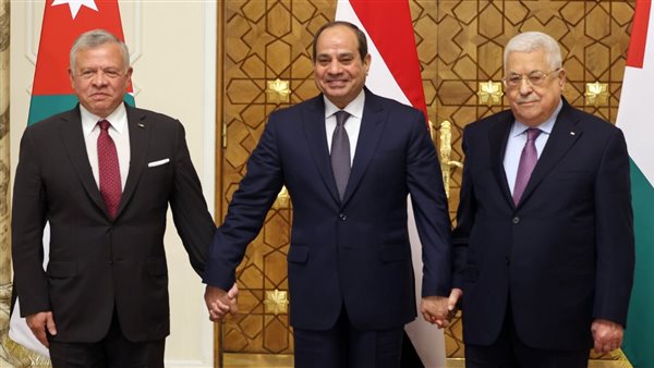 غدا.. مصر تستضيف النسخة الأولى من القمة العالمية للبنية التحتية العامة الرقمية "DPI" 1 1891727710863