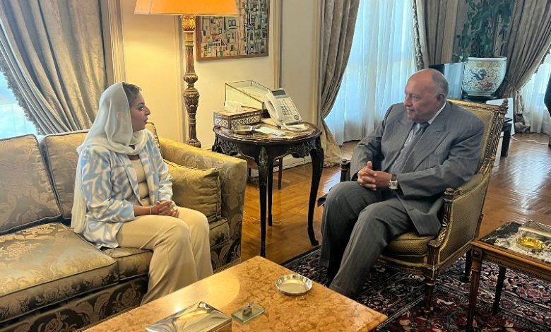 وزير الخارجية يؤكد الأولوية القصوى التي توليها الدولة لرعاية مصالح المواطنين المصريين أينما كانوا 1 19 2023 638302105024324522 4321725719164