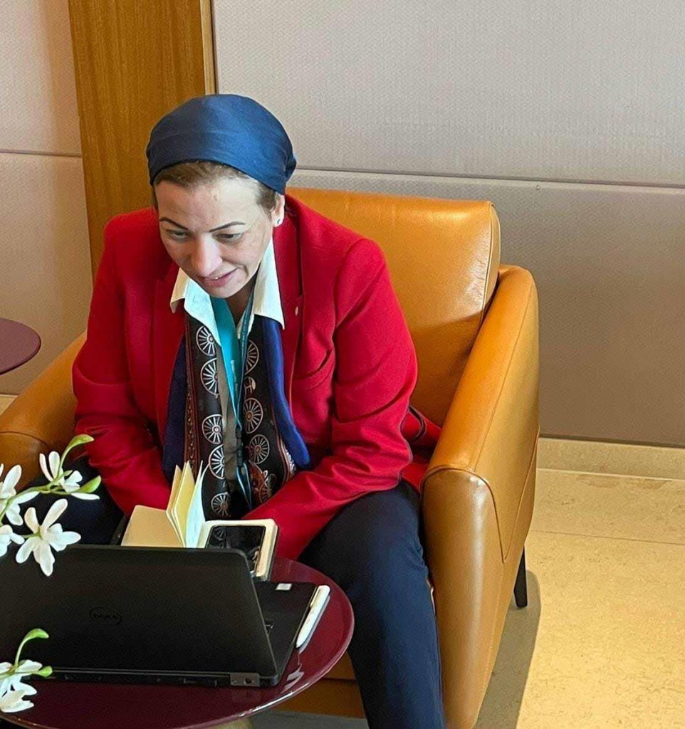 وزيرة البيئة تبدأ المشاورات غير الرسمية حول الهدف الجمعي الكمي الجديد لتمويل المناخ 1 2023 10 27 16 56 25 5351727513044
