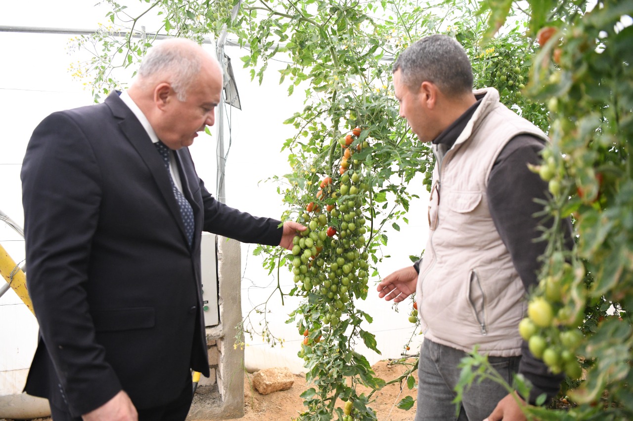 محافظ قنا يوجه بالإهتمام بنظام التغذية والعلف الخاص بمشروعات الأمن الغذائي لتحقيق أعلى معدلات في الإنتاج 1 3221725991508