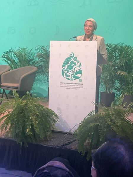 وزيرة البيئة:إجتماع ترويكا رؤساء مؤتمرات الأمم المتحدة للمناخ يهدف إلى التركيز على تعزيز التعاون الدولي 1 382891727437984