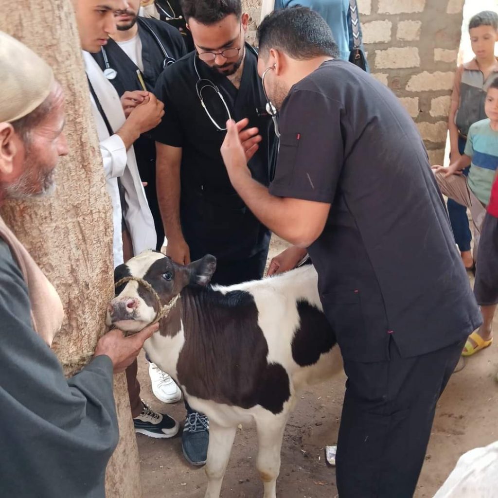 بيطري المنيا: تقديم 563 خدمة خلال قافلة بيطرية مجانية بمركز سمالوط 1 7071725465844