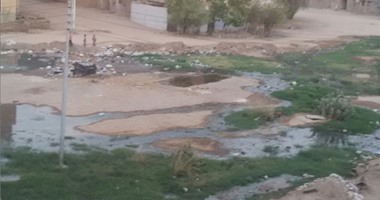شركة كيما تنفي علاقتها بتلوث مياه النيل في أسوان 1 8201521015427151727011683