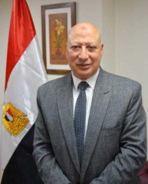 رئيس "الضرائب": حريصون على تحديث الموقع الإلكتروني للمصلحة في ظل مشروعات التطوير والميكنة 1 83233 L1727510703