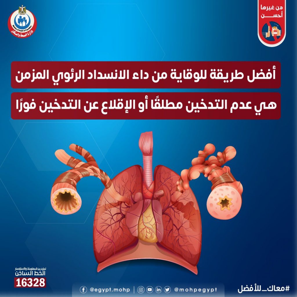 أساتذة الطب المصريون يناقشون تطورات علاج أمراض الرئة في مؤتمر طبي بفيينا 1 Fl2fwnWWYAAYk4e1726051984