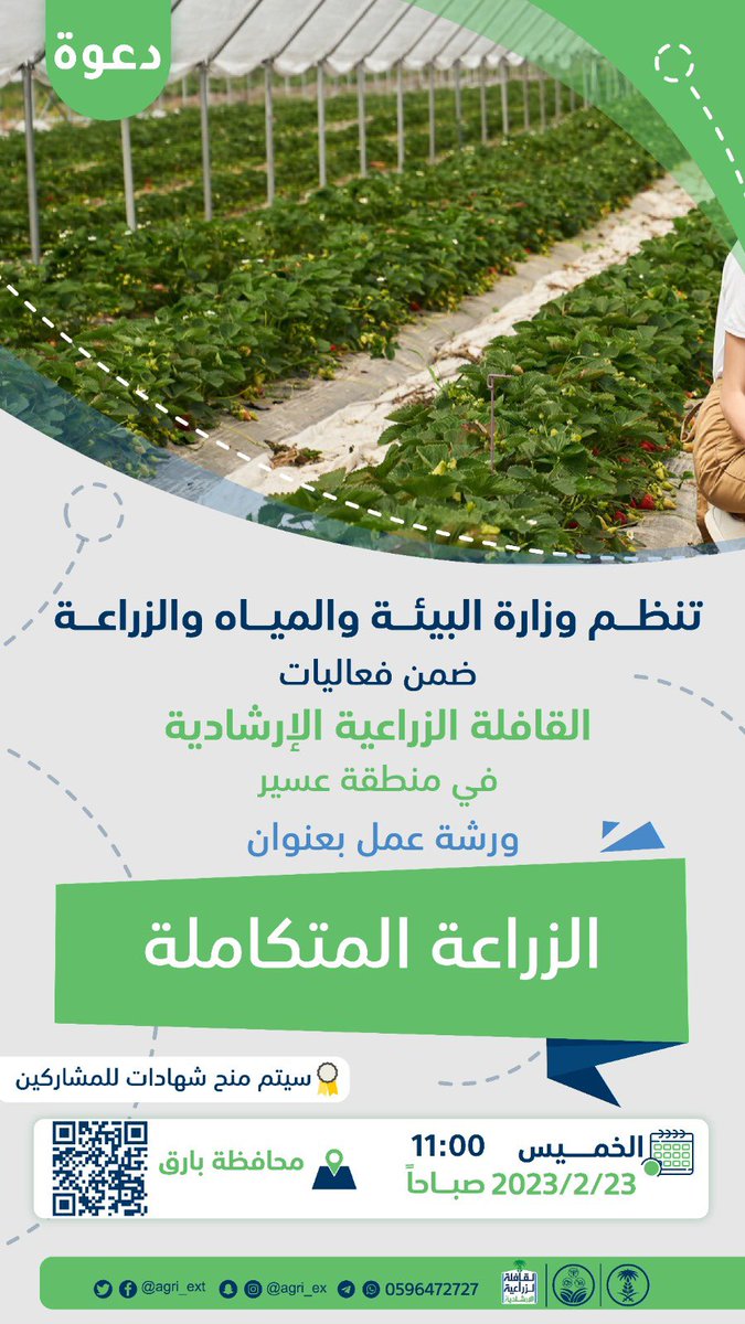"الزراعة" تُطلق حملات مكبرة من القوافل الإرشادية والطب البيطري ومنافذ السلع احتفالا بعيد الفلاح 1