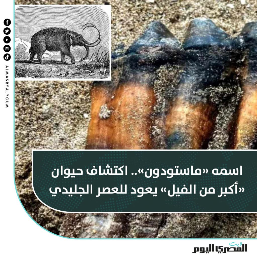 بيرو: اكتشاف بقايا متحجرة لثلاثة "ماستودون" يتجاوز عمرها 11 ألف عام 1 Fx7ajApWYAECcvV1727509384