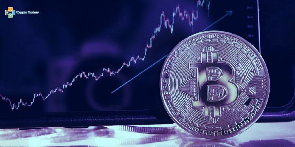 تعافي سوق العملات المشفرة وبيتكوين فوق 55 ألف دولار 1 PhotoGrid 16373995000541725879364