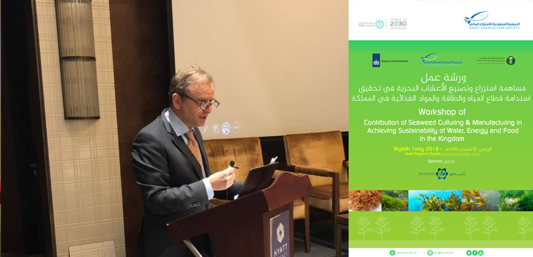 غدا .. بحوث البترول يعقد ورشة عمل عن توظيف الأعشاب البحرية وتحويلها لمنتجات مستدامة 1 SEAWEED 20181725961983