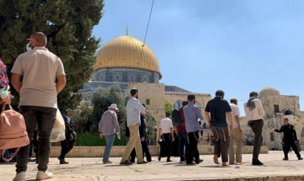 الهباش: تحريض منظمات الإرهاب الإسرائيلية ضد المسجد الأقصى سيشعل حربًا دينية سيدفع العالم ثمنها 1 daa9addc 66d6 4440 8a91 62cf849486671726140184