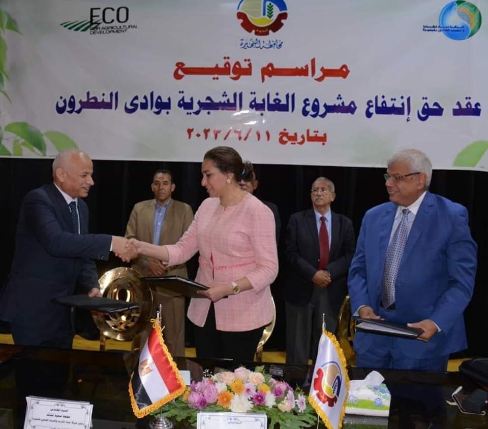 محافظ البحيرة: المشروع القومي (بداية) يمثل نتاجًا للعمل الجماعي المشترك بين كافة الوزارات والجهات الحكومية 1 inbound30519358068060719621726599483