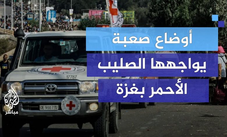 "الصليب الأحمر": الفرق الطبية تواجه تحديات كبيرة في غزة بسبب الانتهاكات الإسرائيلية 1 maxresdefault1725186005