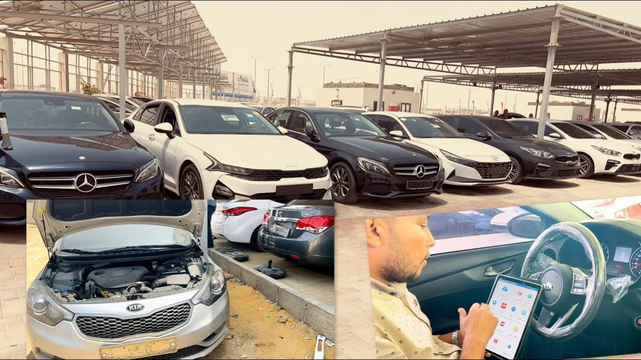 ضبط شخصين لقيامهما باستغلال "ذوي الهمم" في شراء السيارات المجهزة طبياً والتنازل عنها نظير مبالغ مالية 1