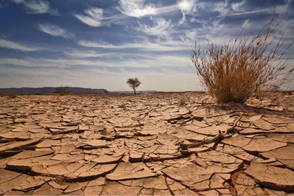 الجامعة العربية: الخسائر في الموارد الطبيعية وتدهور الأراضي يقوّضان مساعي تحقيق الأمن الغذائي في المنطقة 1 اسباب التصحر وتدهور الأراضي الزراعية منها1728465065
