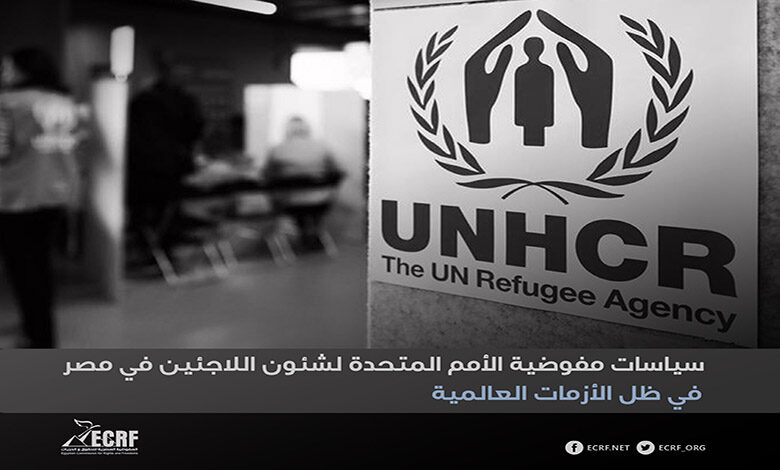 مفوضية اللاجئين بمصر: نسعي لجلب المزيد من التبرعات لدعم وتأمين الحماية للاجئين والمهاجرين 1 صثقفغعهمكمهعغفق