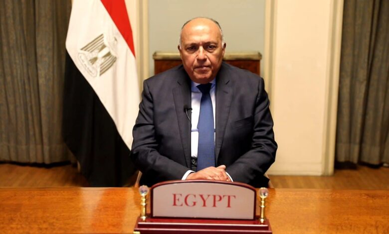 وزير الخارجية يؤكد على الدور الحيوي للجاليات المصرية في دعم مصر خاصة في ظل التحديات 1 1660668929blobid01730034604
