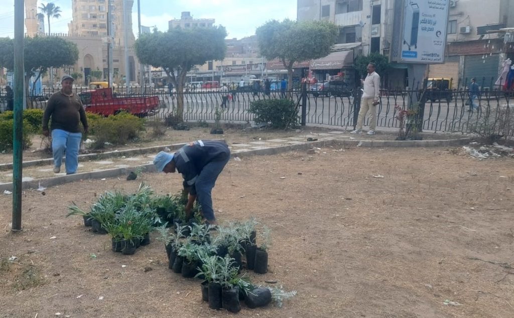 محافظ كفرالشيخ يتابع جهود زراعة الأشجار بسيدي سالم ضمن مبادرة 100 مليون شجرة 1 2023 638186553133195310 3191727786526