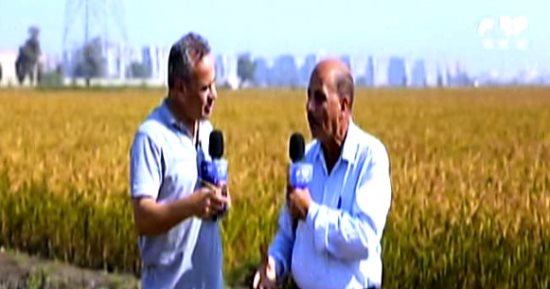 رئيس المشروع القومي لتطوير الأرز: مصر تنجح في استنباط أصناف جديدة يصل إنتاجيتها لـ5 أطنان للفدان 1 2023112308582758271728890046