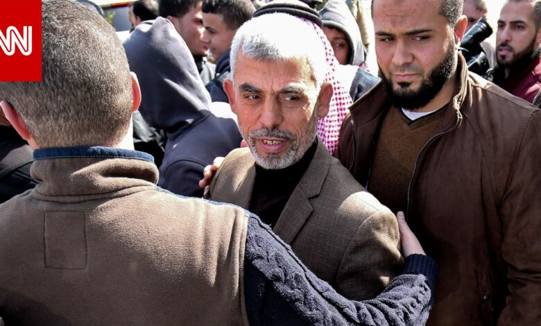 وزير الخارجية الإسرائيلي يعلن اغتيال يحيى السنوار 1 2539991729184523
